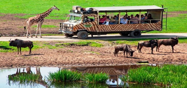 KENIA Y TANZANIA CON ZANZIBAR - SALIDA 24 FEBRERO 2025