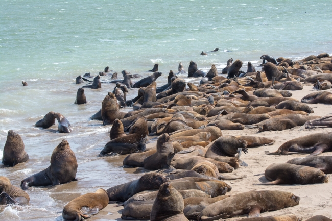 MAR DEL PLATA - FIN DE AO - SALIDA 31 DE DICIEMBRE