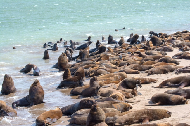 MAR DEL PLATA - SALIDAS DIARIAS MARZO 2025