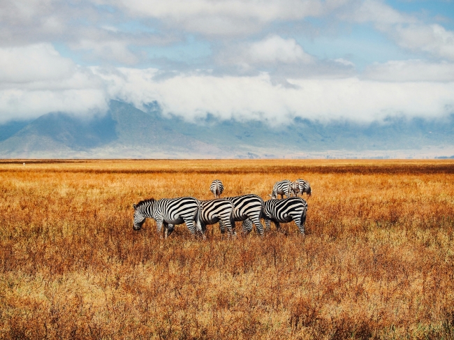 KENIA, TANZANIA & ZANZIBAR - SALIDA 04 DE MAYO 2025