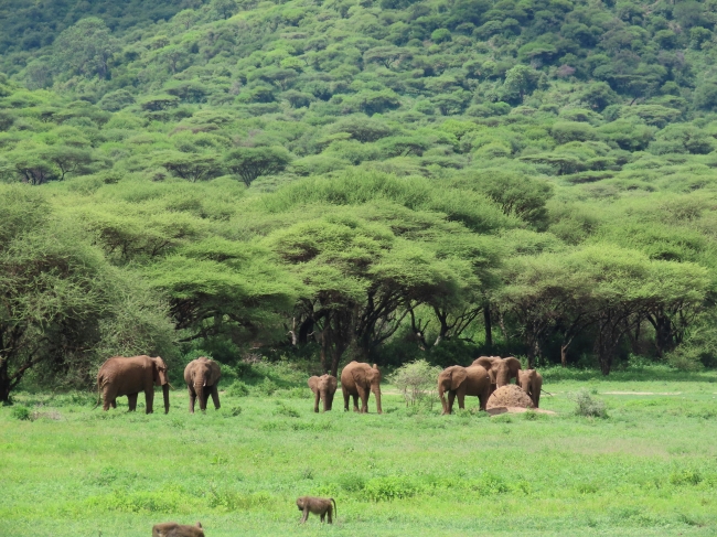 KENIA, TANZANIA & ZANZIBAR - SALIDA 04 DE MAYO 2025