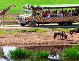 KENIA Y TANZANIA CON ZANZIBAR - SALIDA 24 FEBRERO 2025